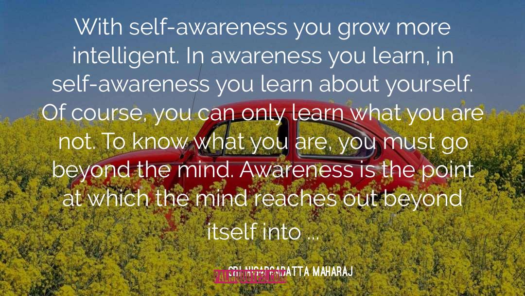 Self Awareness quotes by Sri Nisargadatta Maharaj