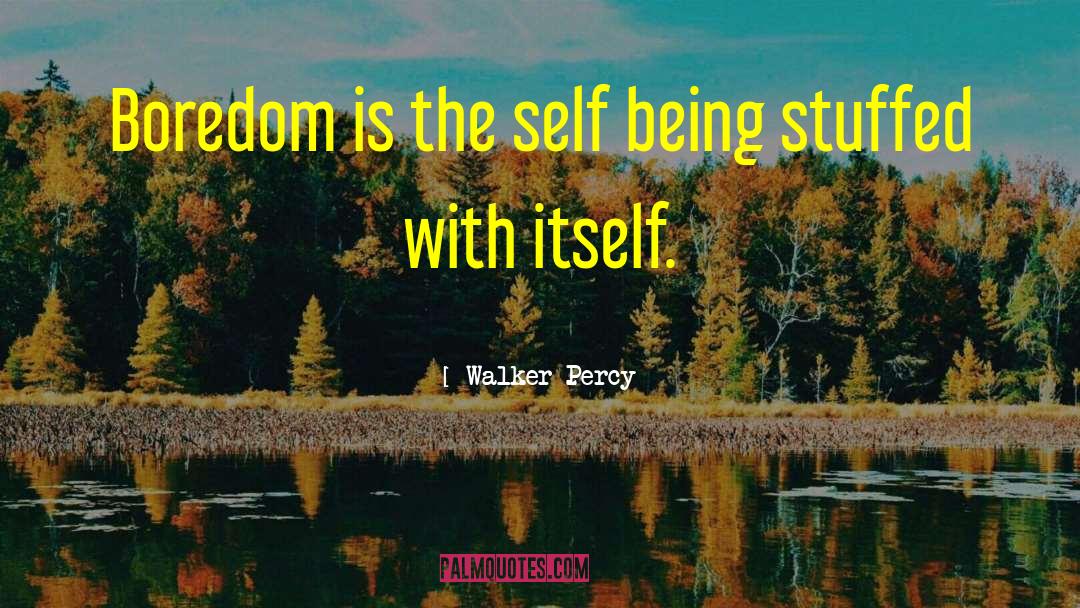 Self Being quotes by Walker Percy