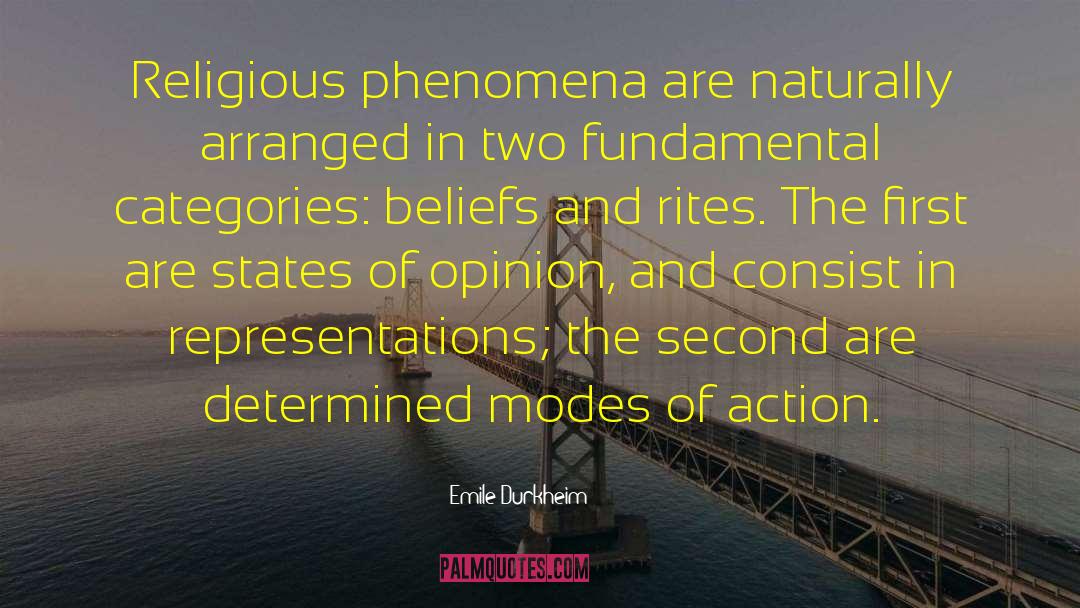 Self Beliefs quotes by Emile Durkheim
