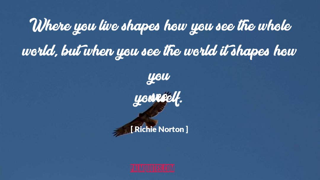 Self Concept Clarity quotes by Richie Norton