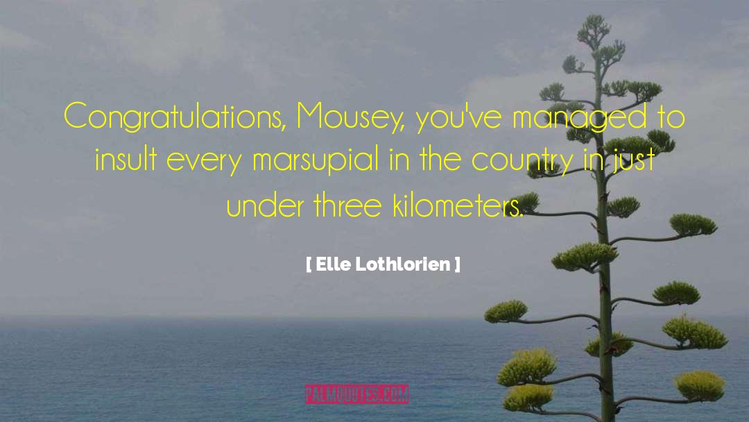 Self Congratulations quotes by Elle Lothlorien