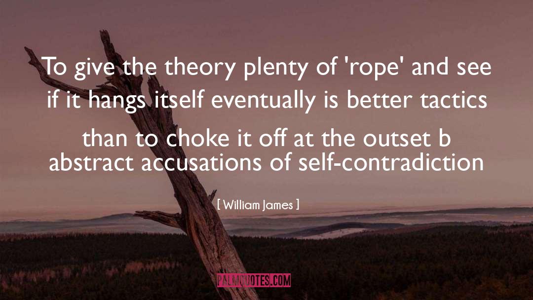 Self Contradiction quotes by William James