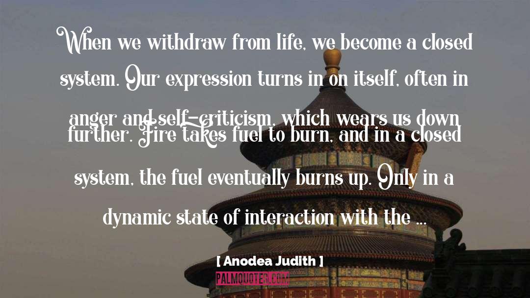 Self Criticism quotes by Anodea Judith