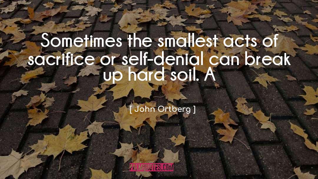 Self Denial quotes by John Ortberg
