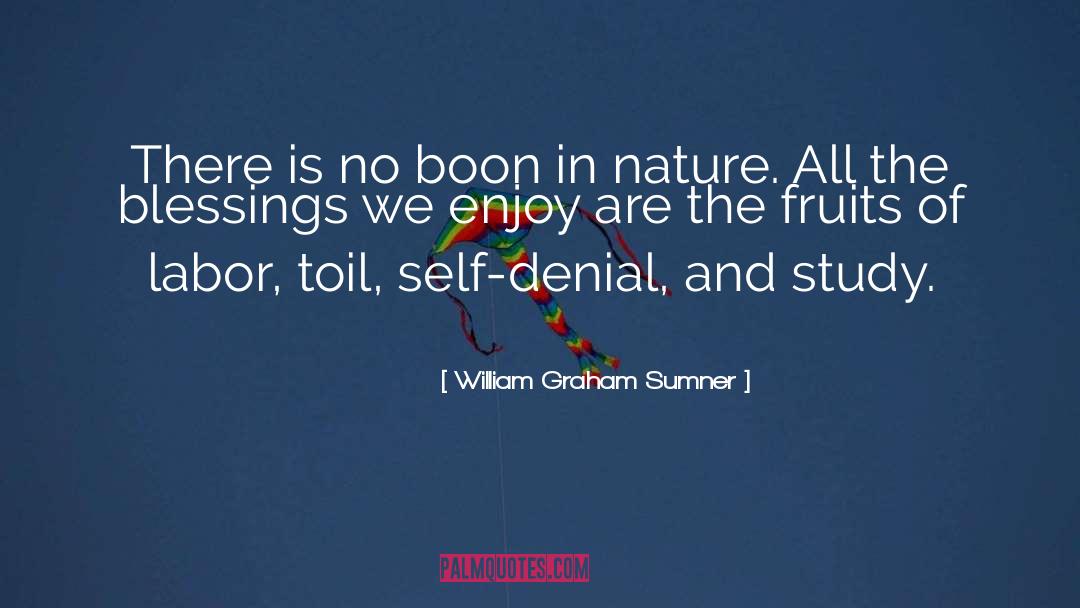 Self Denial quotes by William Graham Sumner