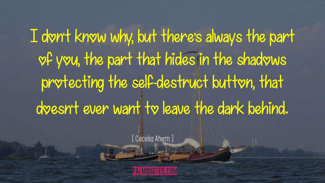 Self Destruct quotes by Cecelia Ahern