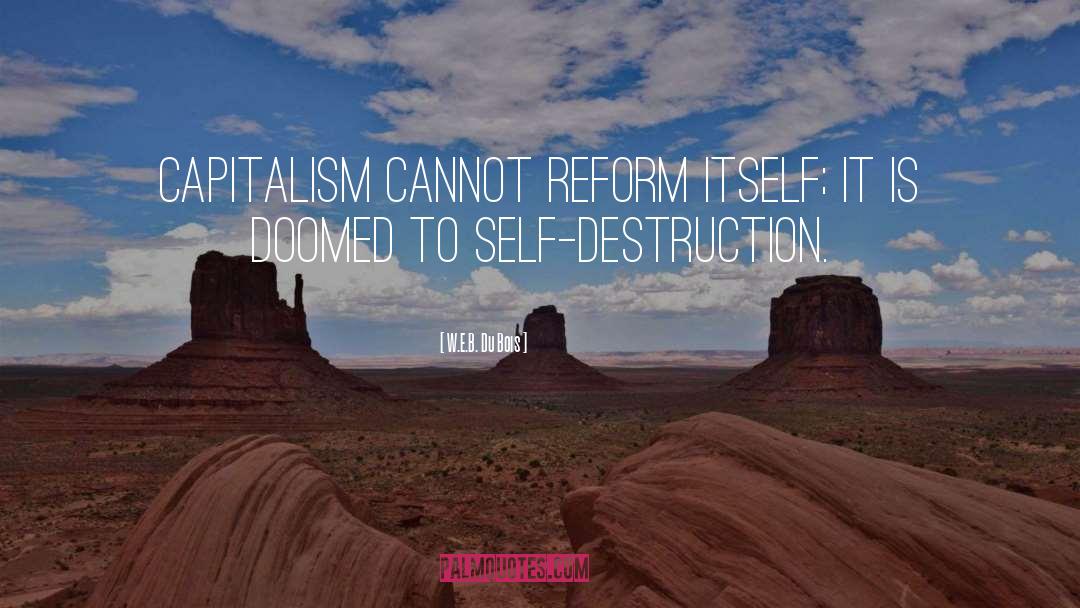 Self Destruction quotes by W.E.B. Du Bois