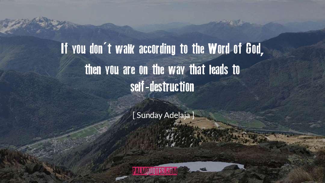 Self Destruction quotes by Sunday Adelaja