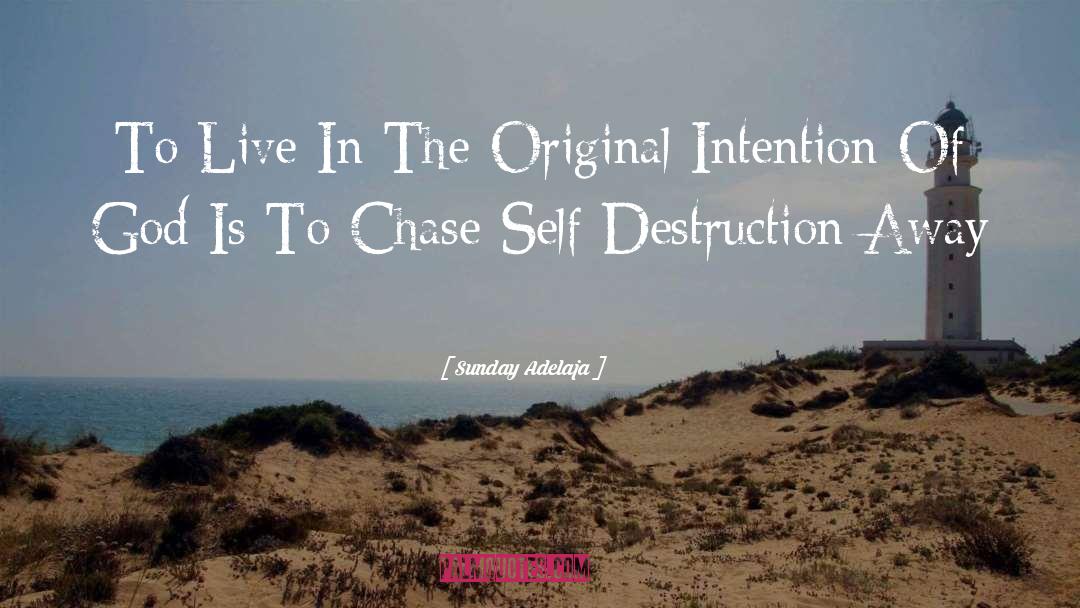 Self Destruction quotes by Sunday Adelaja