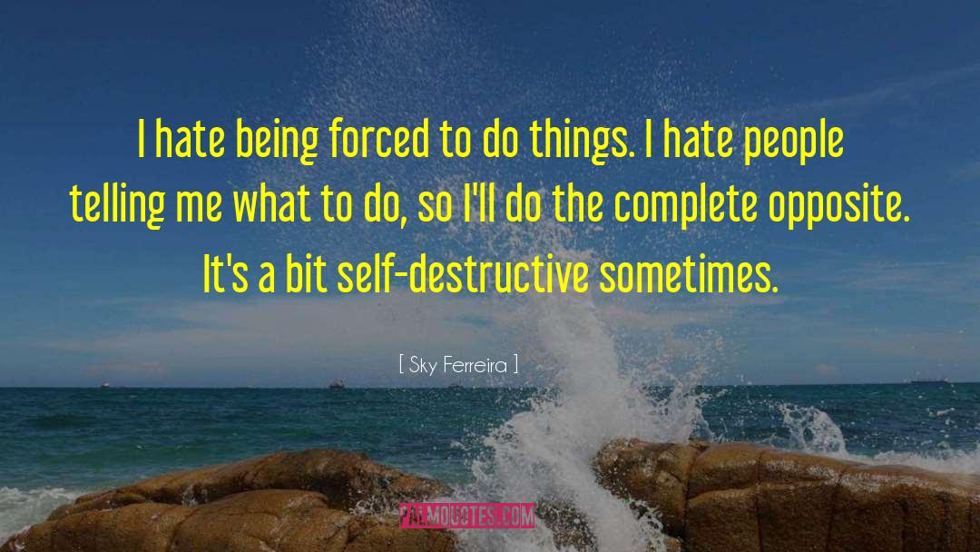 Self Destructive Behavior quotes by Sky Ferreira