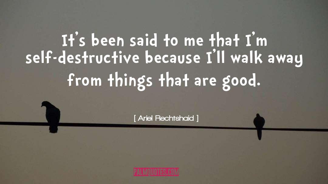 Self Destructive quotes by Ariel Rechtshaid