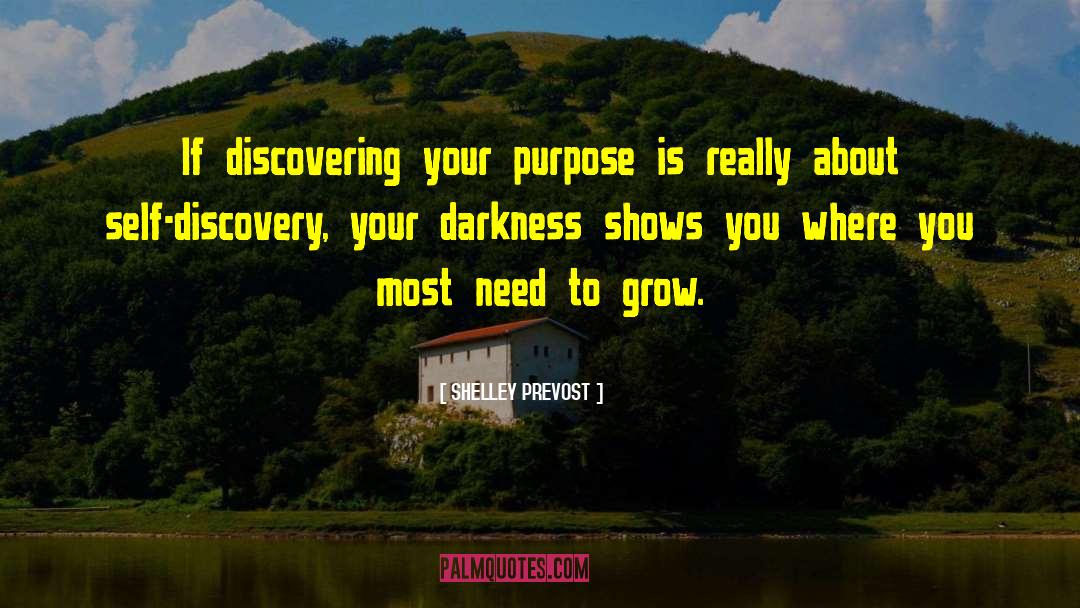Self Discovery Journey quotes by SHELLEY PREVOST