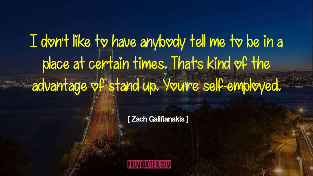 Self Employed quotes by Zach Galifianakis