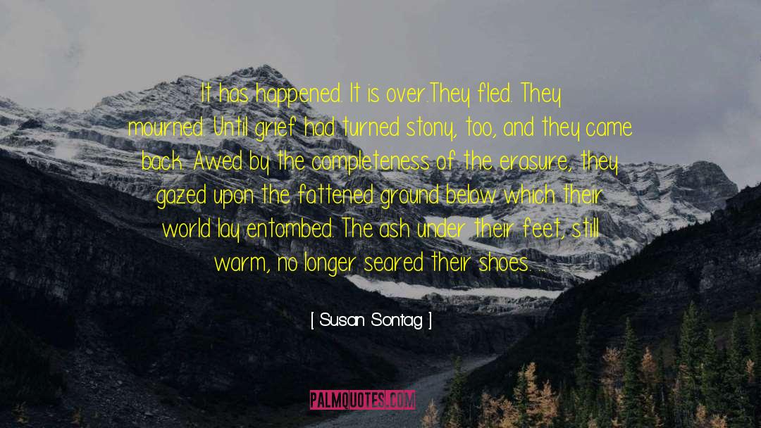 Self Erasure quotes by Susan Sontag