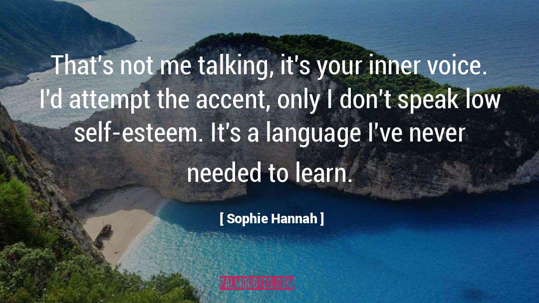 Self Esteem 101 quotes by Sophie Hannah
