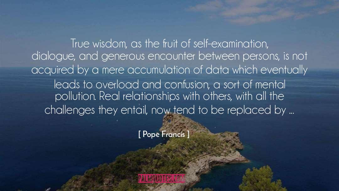 Self Examination quotes by Pope Francis