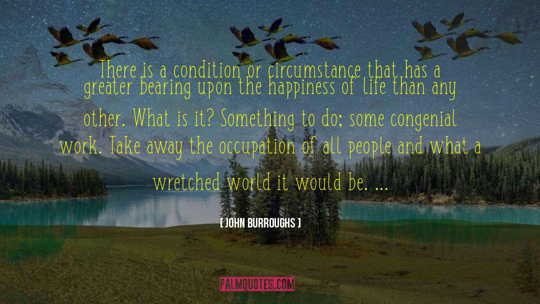 Self Happiness quotes by John Burroughs