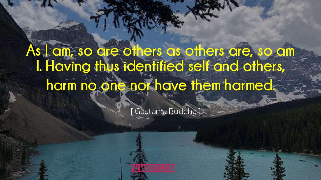 Self Harm quotes by Gautama Buddha