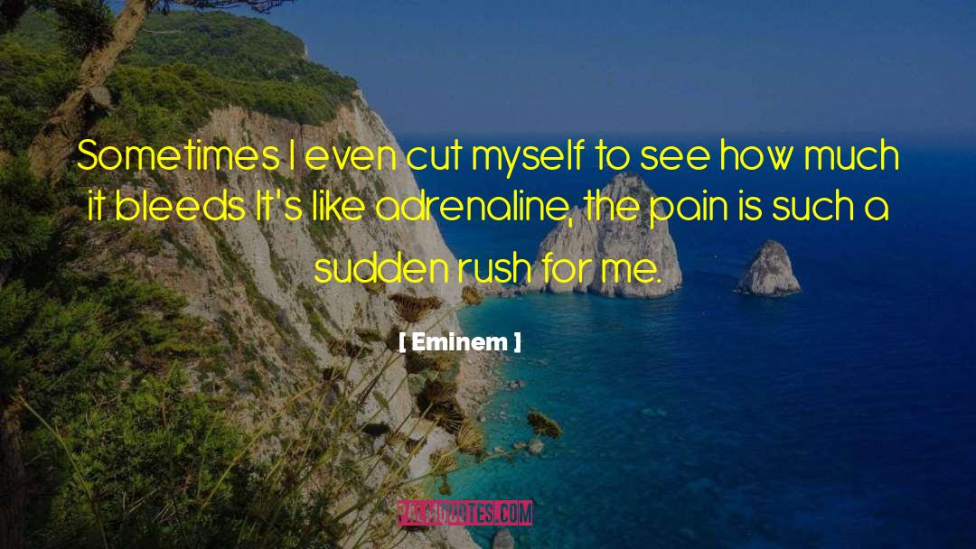 Self Harm quotes by Eminem
