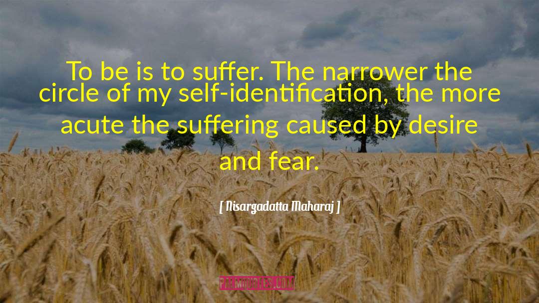Self Identification quotes by Nisargadatta Maharaj
