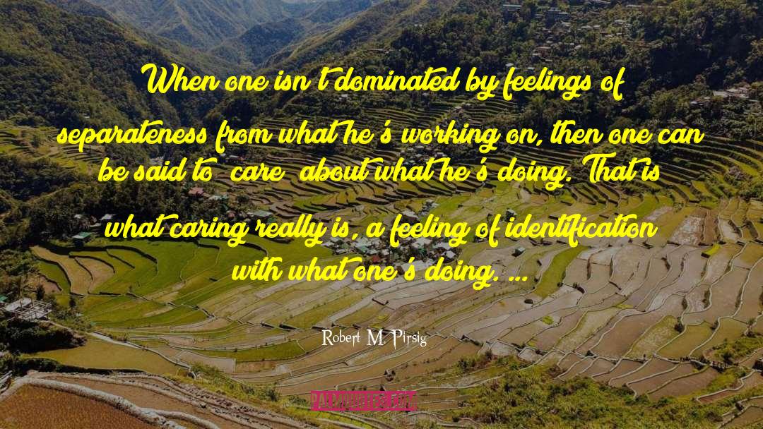 Self Identification quotes by Robert M. Pirsig