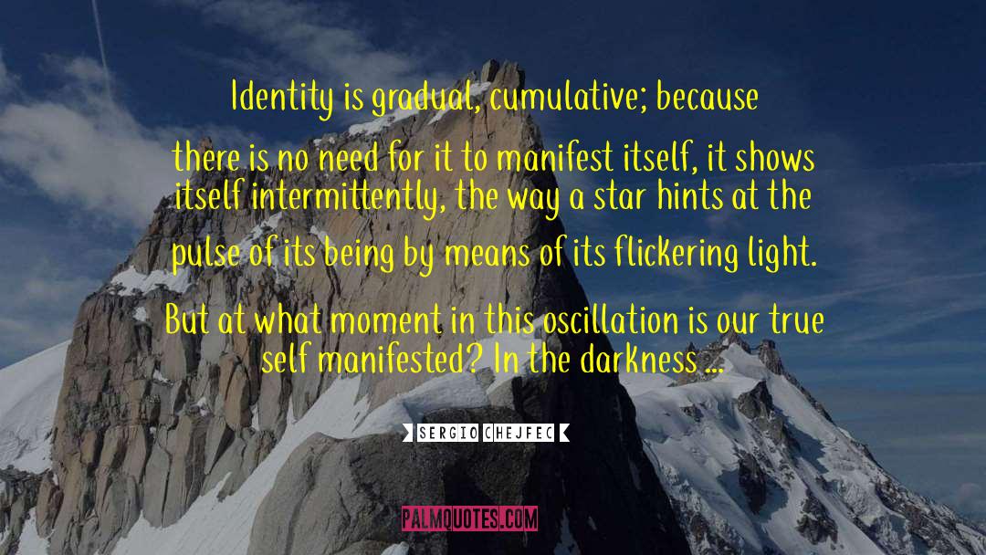 Self Identity Crisis quotes by Sergio Chejfec
