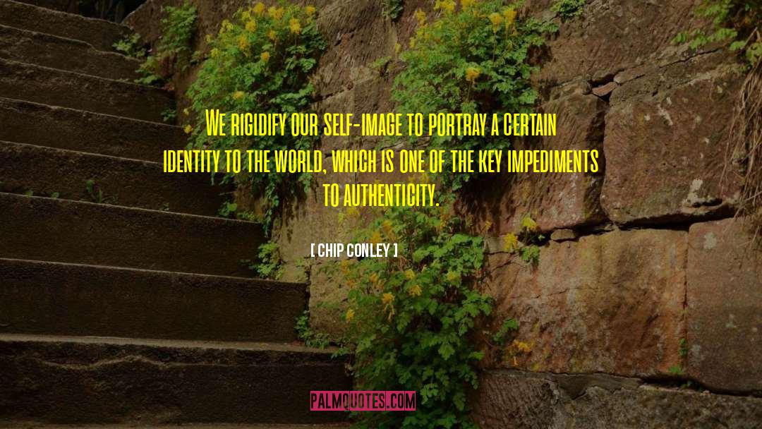 Self Identity quotes by Chip Conley