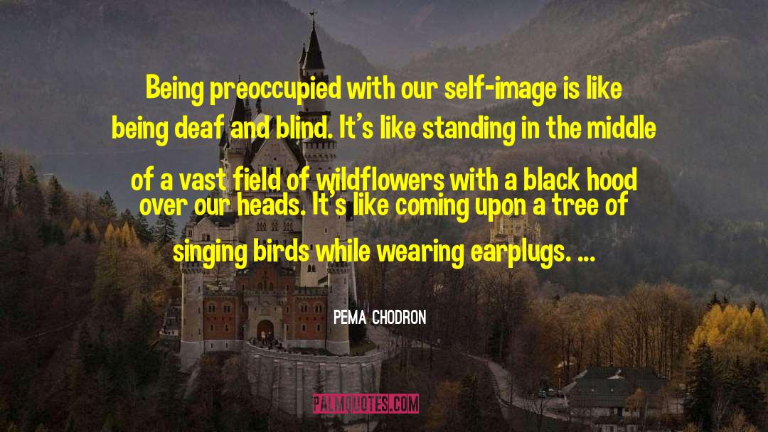 Self Image Appreciation quotes by Pema Chodron