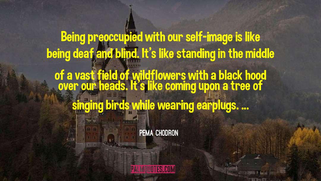 Self Image quotes by Pema Chodron