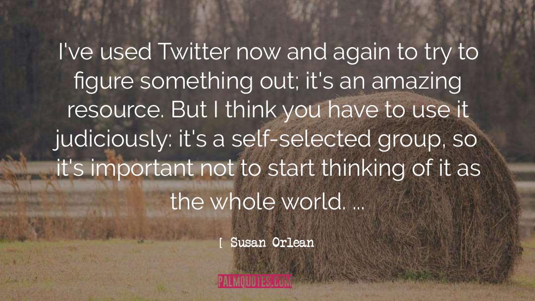 Self Important quotes by Susan Orlean