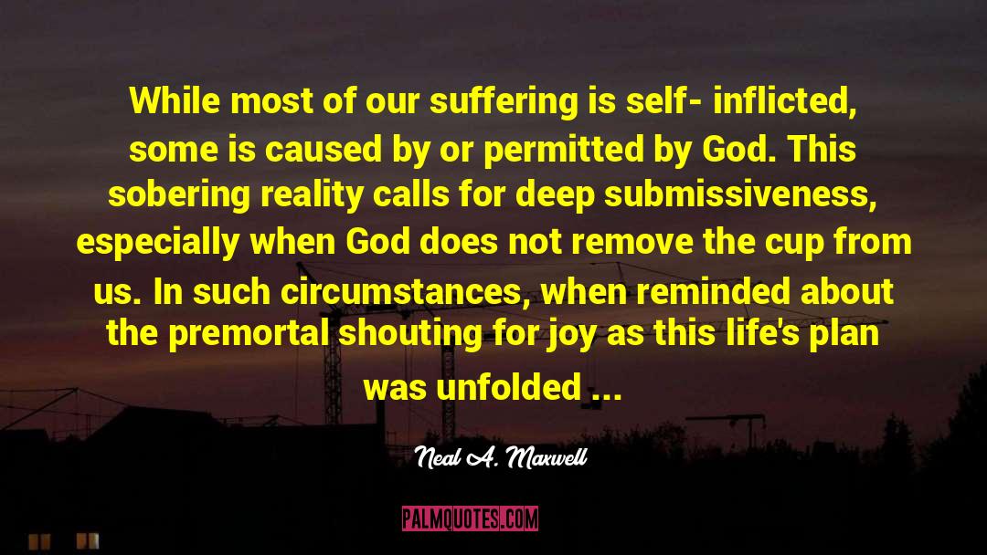 Self Inflicted quotes by Neal A. Maxwell