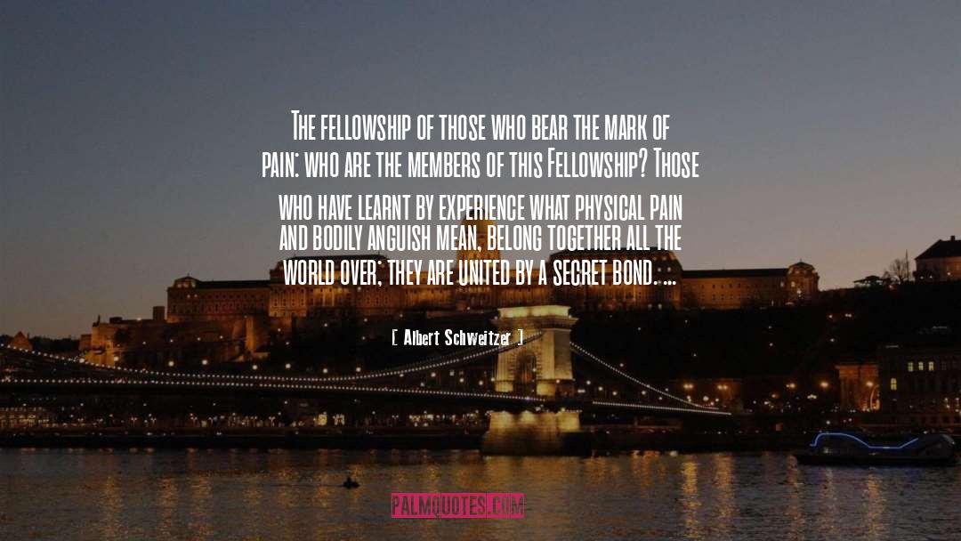 Self Injury quotes by Albert Schweitzer