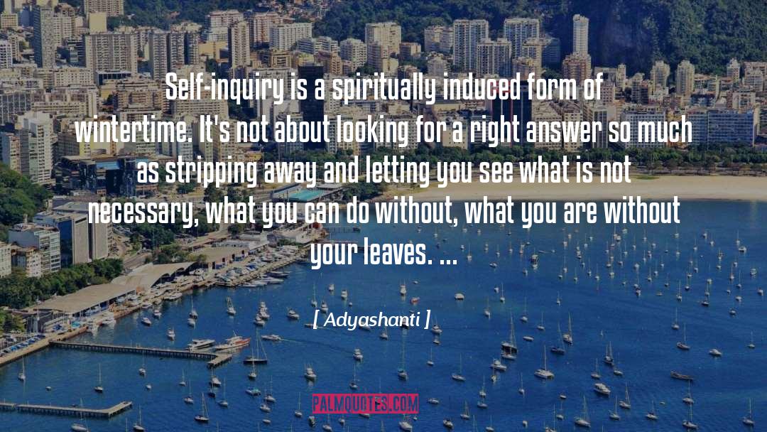 Self Inquiry quotes by Adyashanti