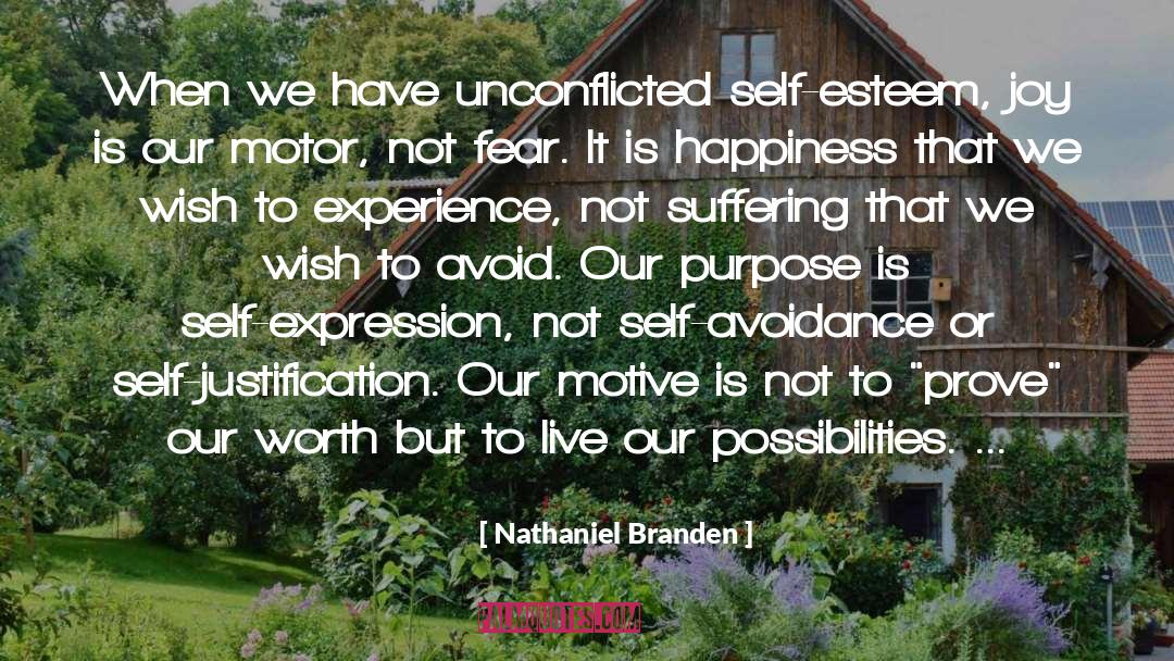 Self Justification quotes by Nathaniel Branden