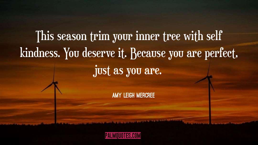 Self Kindness quotes by Amy Leigh Mercree