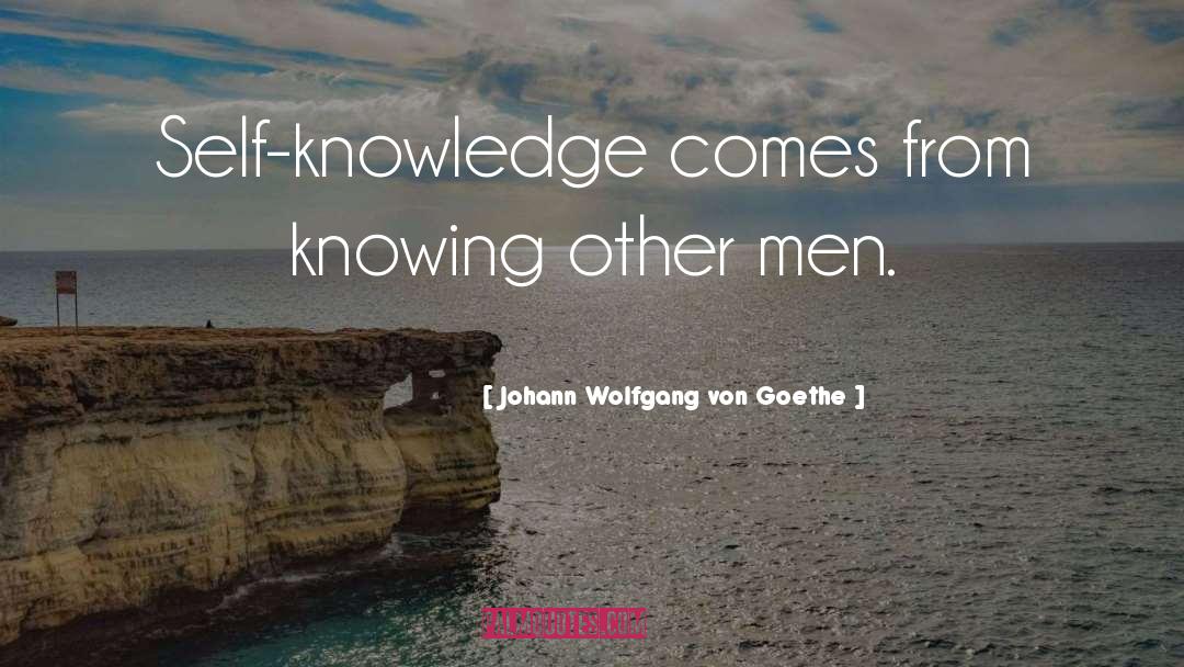 Self Knowing quotes by Johann Wolfgang Von Goethe