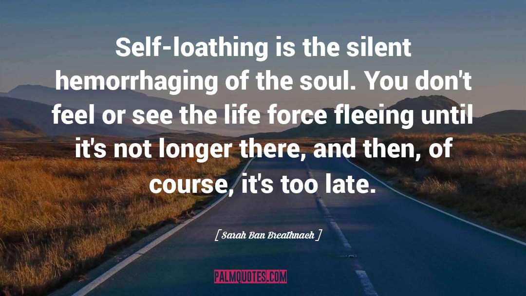 Self Loathing quotes by Sarah Ban Breathnach