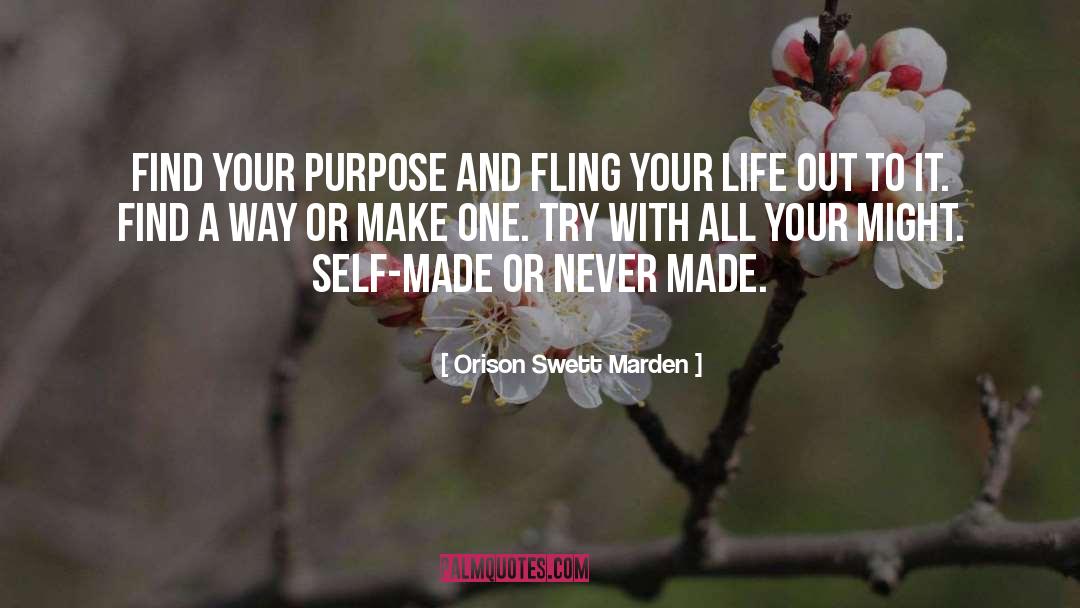 Self Made quotes by Orison Swett Marden