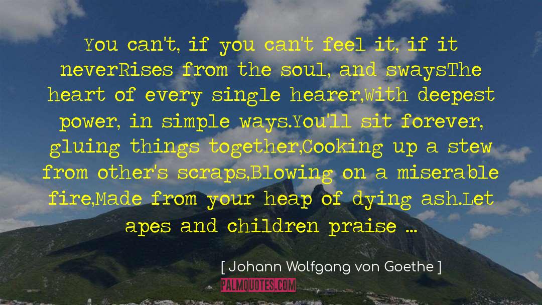 Self Praise quotes by Johann Wolfgang Von Goethe
