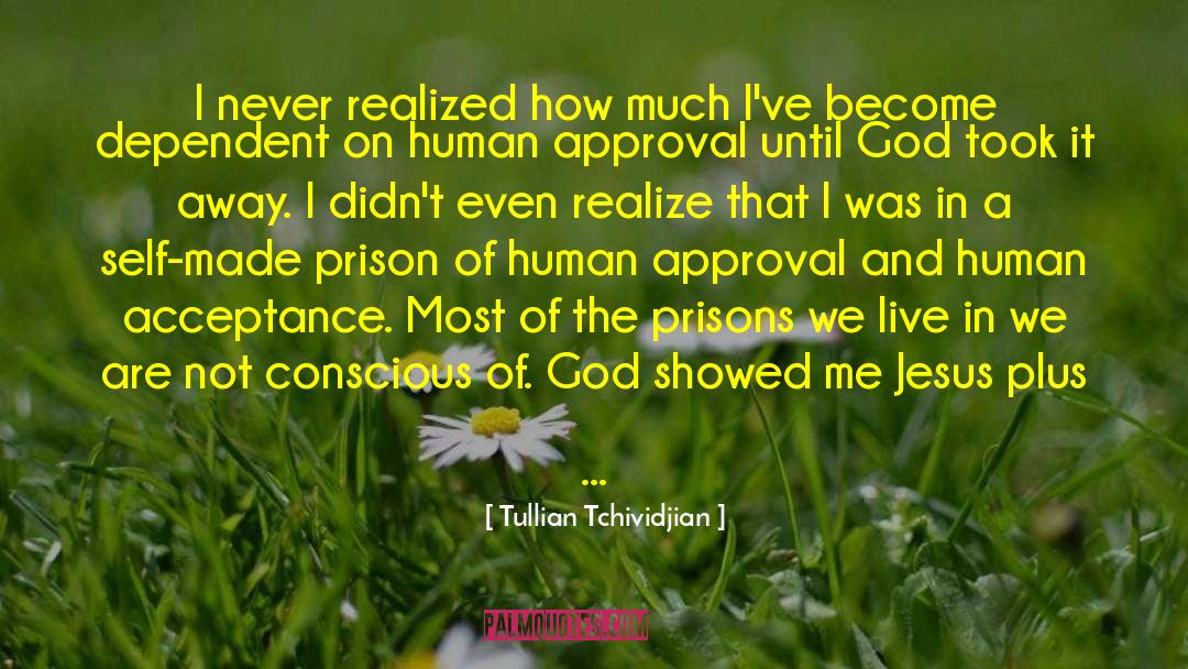 Self Prison quotes by Tullian Tchividjian