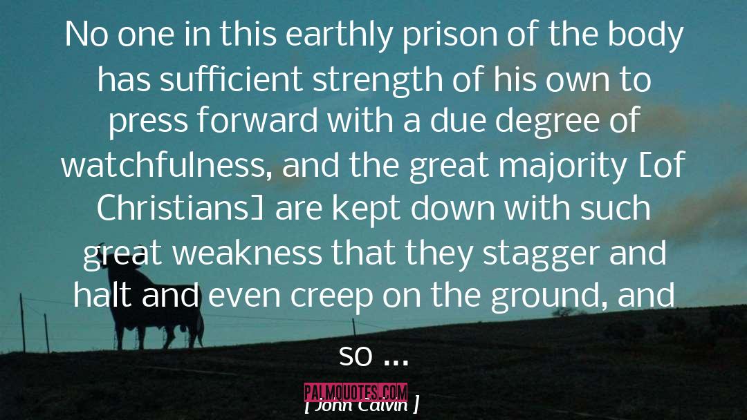 Self Prison quotes by John Calvin