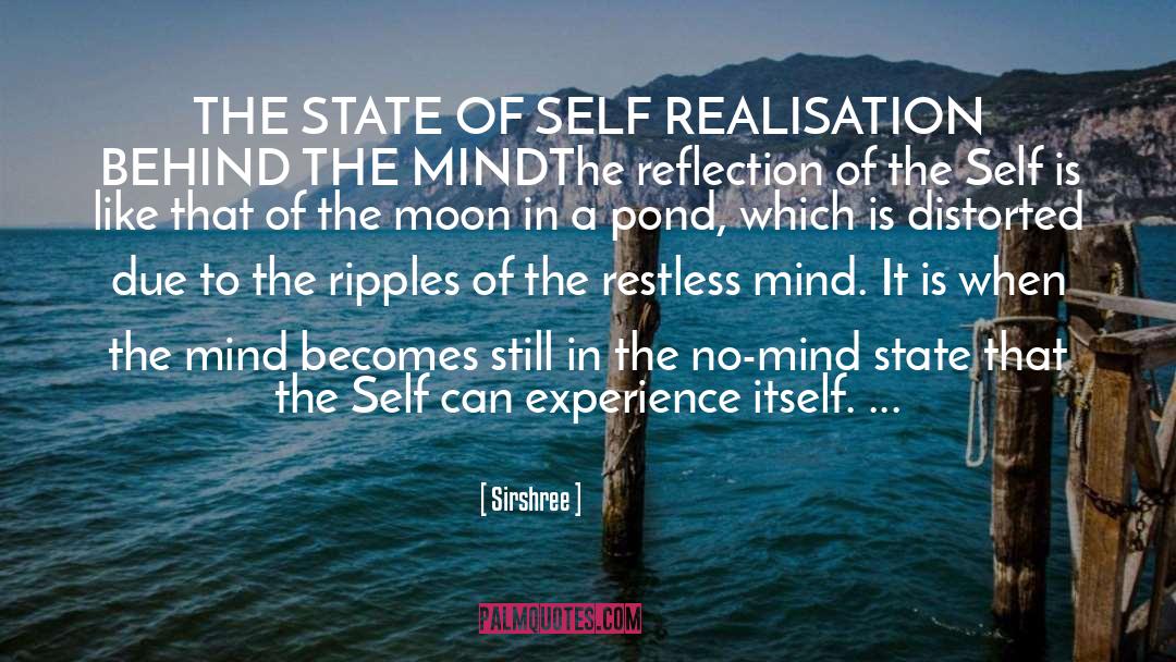 Self Realisation quotes by Sirshree