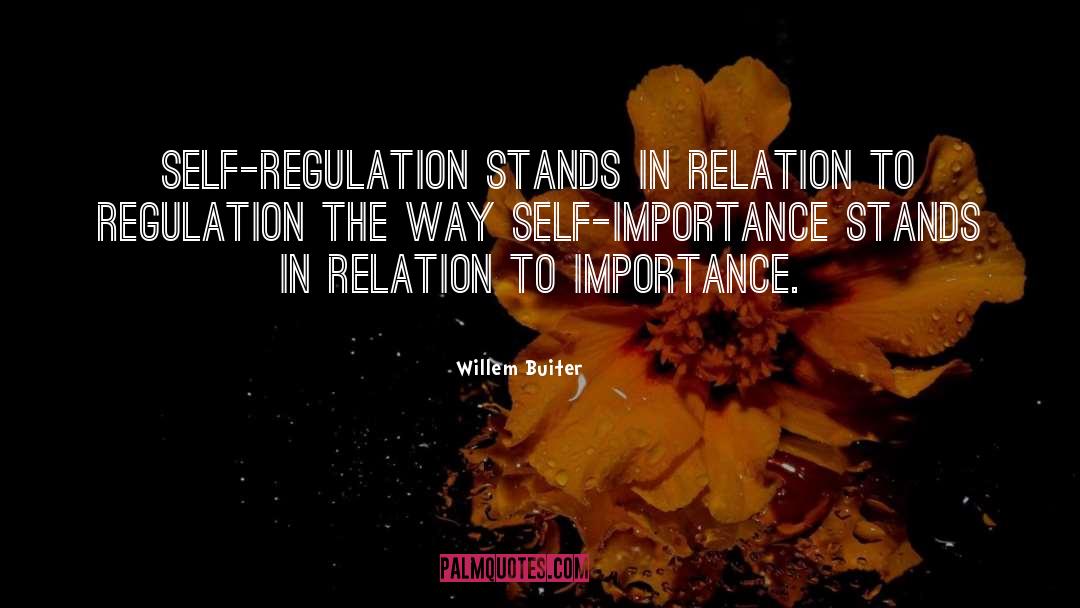 Self Regulation quotes by Willem Buiter