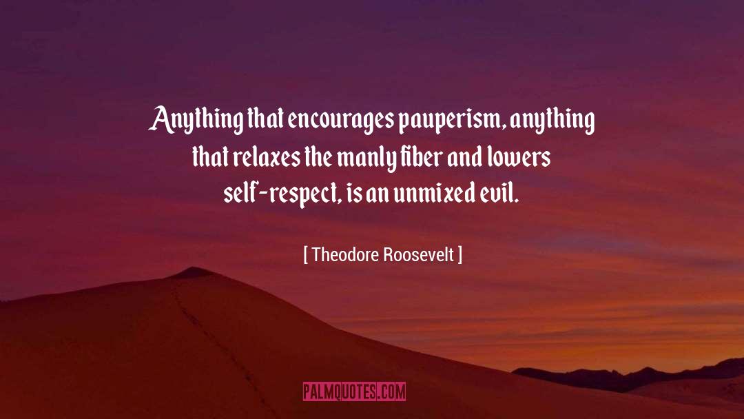 Self Respect quotes by Theodore Roosevelt
