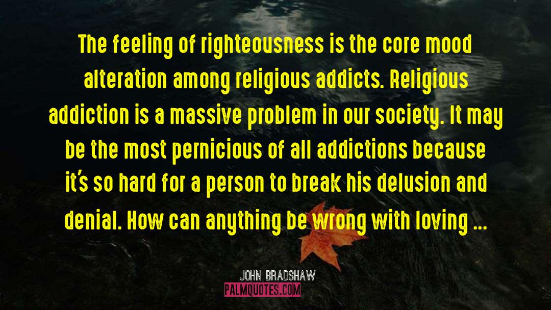 Self Righteousness quotes by John Bradshaw