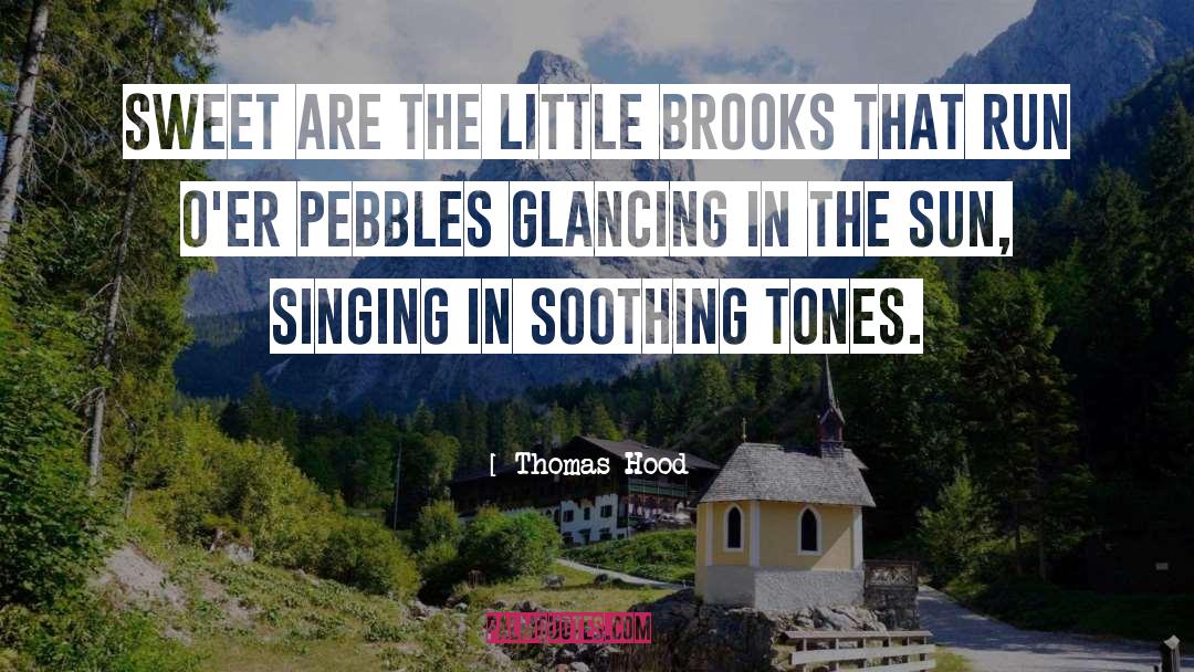 Self Soothing quotes by Thomas Hood