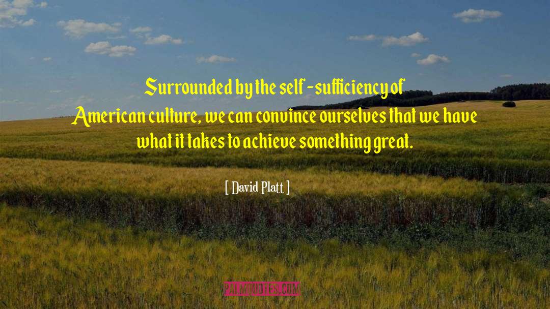 Self Sufficiency quotes by David Platt