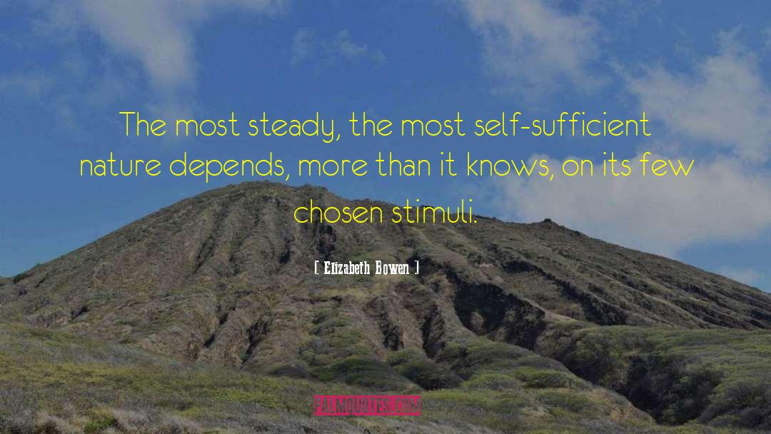 Self Sufficient Beings quotes by Elizabeth Bowen