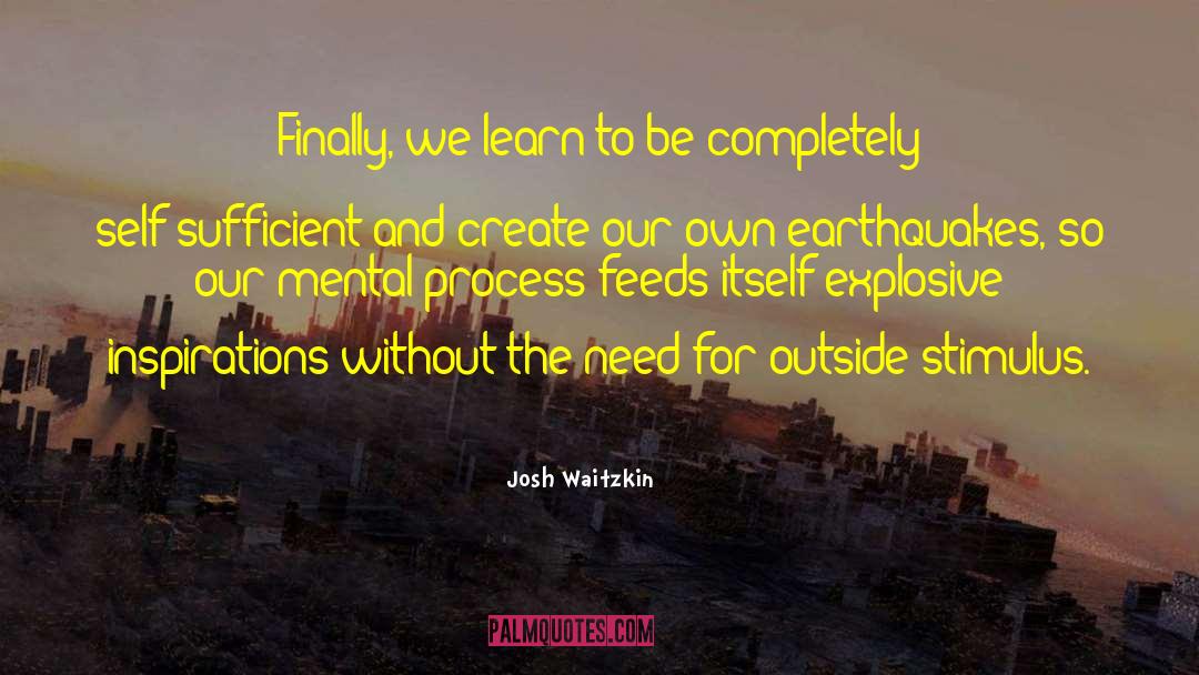 Self Sufficient Beings quotes by Josh Waitzkin