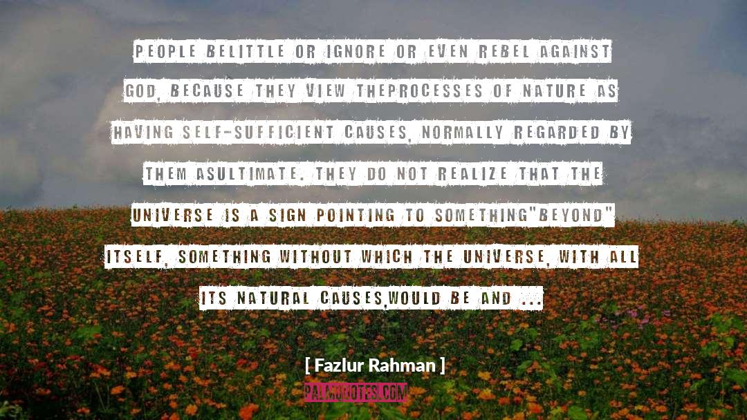 Self Sufficient quotes by Fazlur Rahman
